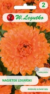 Nasiona i cebule - Nagietek lekarski pomarańczowy - Nasiona 3g - miniaturka - grafika 1