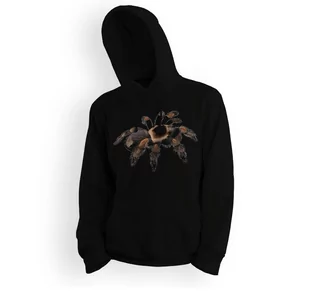 Bluza dziecięca z kapturem pająk Brachypelma hamorii-104 - Bluzy dla dziewczynek - miniaturka - grafika 1