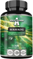 Suplementy naturalne - APOLLO'S HEGEMONY BERBERINE STANDARYZOWANY EKSTRAKT BERBERYNY 120 KAPSUŁEK - miniaturka - grafika 1