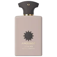 Wody i perfumy damskie - Amouage Library Collection XIV Royal Tobacco Woda perfumowana 100 ml - miniaturka - grafika 1