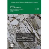 Nauka - Naturalne i syntetyczne minerały o budowie warstwowej w nanotechnologiach - miniaturka - grafika 1