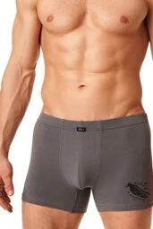 Męskie bokserki z grafiką ptaka na udzie MXH 867 - Majtki męskie - miniaturka - grafika 1