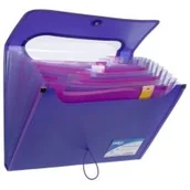 Artykuły biurowe - PUKKA Teczka z gumką Pp A4/25mm/12przegr Pukka Fio Fol - miniaturka - grafika 1