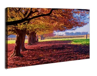 Kolorowy Krajobraz - obraz na płótnie Wymiar do wyboru: 90x60 cm - Obrazy i zdjęcia na płótnie - miniaturka - grafika 1