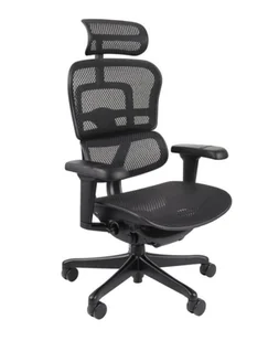 Fotel biurowy, krzesło biurowe Fotel ergonomiczny Ergohuman 2 Ultra BS Black, biurowy, obracany, na kółkach, do biura - Fotele i krzesła biurowe - miniaturka - grafika 1