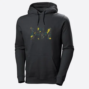 Męska Bluza HELLY HANSEN F2F ORGANIC COTTON HOODIE 62934_984 – Szary - Bluzy męskie - miniaturka - grafika 1