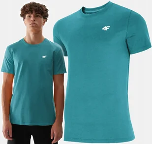 Koszulka Męska 4f T-shirt Podkoszulek Bluzka Sportowa Na Co Dzień 1887 M - Koszulki męskie - miniaturka - grafika 1