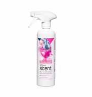 Odświeżacze powietrza - CLINEX SCENT ODŚWIEŻACZ POWIETRZA PARYSKI WDZIĘK 500 ML - miniaturka - grafika 1