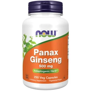 Now Foods Foods FOODS Panax Ginseng 500mg 250 kaps. NW163 - Witaminy i minerały - miniaturka - grafika 1