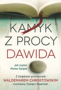 Kamyk z procy Dawida - Jak czytać Pismo Święte z ks prof. Waldemarem Chrostowskim rozmawia Tomasz Rowiński - Religia i religioznawstwo - miniaturka - grafika 1