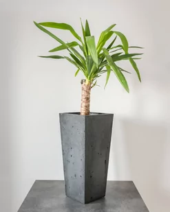 24x24x63 cm (spód) + 32x32 cm (góra) CT - Donica betonowa (antracytowa) - Donice - miniaturka - grafika 1