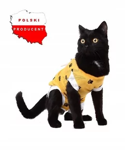 Fartuszek, ubranko pooperacyjne dla kota XS - Pielęgnacja psów i kotów - miniaturka - grafika 1