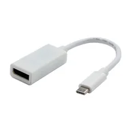 Kable - USB/Video DP Alt Mode, DisplayPort F, biały, 4K2K@30Hz 65507 - miniaturka - grafika 1