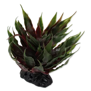Repti Planet REPTI PLANET Agawa sukulent zielony 18cm sztuczna roślina do terrarium 007-55103 - Dekoracje do terrarium - miniaturka - grafika 1