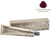 Farby do włosów i szampony koloryzujące - Alfaparf Farba Evolution Of The Color 5.66I 60 ml - miniaturka - grafika 1