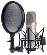 Mikrofony estradowe - TANNOY Tannoy TM1 - Mikrofon wielkomembranowy pojemnościowy - miniaturka - grafika 1