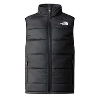 Odzież sportowa dziecięca - Bezrękawnik turystyczny damski The North Face Teen Never Stop Vest - miniaturka - grafika 1