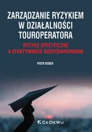 Ekonomia - Zarządzanie ryzykiem w działalności touroperatora Ryzyko specyficzne a efektywność gospodarowania Bober Piotr - miniaturka - grafika 1