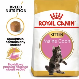 Royal Canin Maine Coon Kitten 4 kg - Sucha karma dla kotów - miniaturka - grafika 1