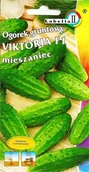Nasiona i cebule - Ogórek konserwowy Victoria f1 5g / L / - miniaturka - grafika 1