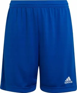 Adidas SPODENKI SPORTOWE MĘSKIE ADIDAS ENTRADA HG6294 - Spodnie sportowe męskie - miniaturka - grafika 1