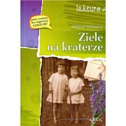 Lektury szkoła podstawowa - Ziele na kraterze. Lektura z opracowaniem - miniaturka - grafika 1