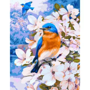 Twoje Hobby Malowanie po numerach Wiosenne ptaki - Malowanie po numerach - miniaturka - grafika 1