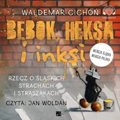 Audiobooki - literatura faktu - Bebok, heksa i inksi. Rzecz o śląskich strachach i straszakach - miniaturka - grafika 1