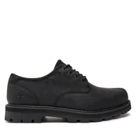 Półbuty męskie - Półbuty Timberland Lace UP Waterproof TB0A69T9W021 Czarny - miniaturka - grafika 1