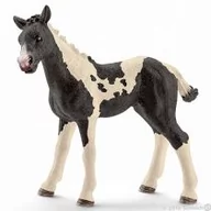 Figurki dla dzieci - Schleich ŁACIATY ŹREBAK - 13803 - miniaturka - grafika 1