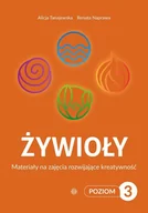 Pedagogika i dydaktyka - Żywioły. Poziom 3 - miniaturka - grafika 1