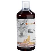 Suplementy i witaminy dla psów - 1L Lupo Gelenk, olej wzmacniający na kości i stawy| Dostawa i zwrot GRATIS! - miniaturka - grafika 1