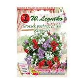 Nasiona i cebule - Legutko Groszek pachnący Knee-Hi 5g Domowy ogród - miniaturka - grafika 1