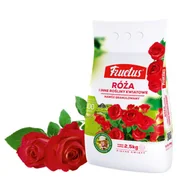 Nawozy ogrodnicze - NAWÓZ FRUCTUS RÓŻA I IN 2,5KG 54527932 - miniaturka - grafika 1