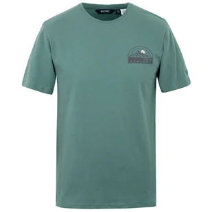 Koszulka męska Regatta Cline IX Rozmiar: M / Kolor: zielony/szary - Koszulki sportowe męskie - miniaturka - grafika 1