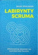 Biznes - Labirynty scruma - miniaturka - grafika 1