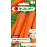 Nasiona i cebule - Nasiona Marchew Flyaway F1 0.50g - W.Legutko - miniaturka - grafika 1