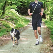 Smycze dla psów - Trixie Smycz do joggingu 1.331.80 m/20 mm szaro/zielona - miniaturka - grafika 1