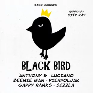 Big Slap & Black Bird Riddims By City Kay Różni Wykonawcy Płyta winylowa) - Reggae - miniaturka - grafika 1