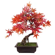Sztuczne drzewka - Leaf Sztuczne małe drzewko bonsai, 50 cm czerwone Acer Bonsai, 50 cm - miniaturka - grafika 1
