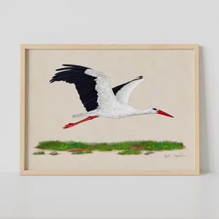 Plakat bocian biały w locie 21x30 cm, zwierzęta, ptaki, autorska ilustracja, dekoracja - Dekoracje domu - miniaturka - grafika 1