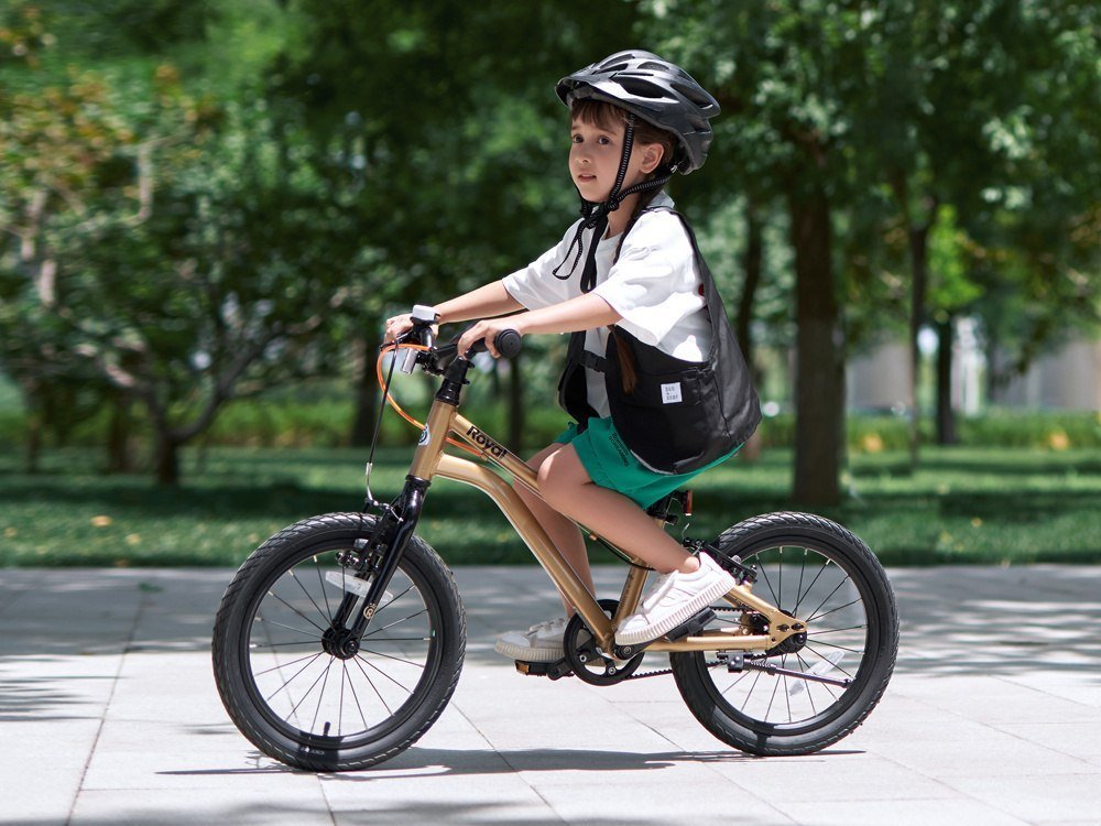Royalbaby RoyalBaby Lekki i Doskonały Rower dla Dzieci Gold Kable-Belt 16
