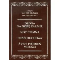 Wydawnictwo Karmelitów Bosych Święty Jan od Krzyża Doktor Kościoła - Karmelitów Bosych - Albumy - historia - miniaturka - grafika 1