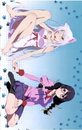 Plakat Anime Bakemonogatari bm_117 A1+ (custom)