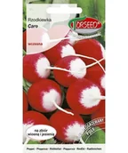 Nasiona i cebule - Nasiona Rzodkiewka Caro 10g - Torseed - miniaturka - grafika 1