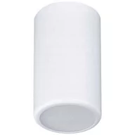 Lampy sufitowe - Euluna Lampa sufitowa Tube TB 170, biała - miniaturka - grafika 1