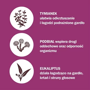 US Pharmacia Herbitussin Gardło 12 szt. - Przeziębienie i grypa - miniaturka - grafika 2