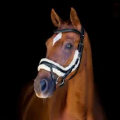 Ogłowia - Schockemohle Ogłowie anatomiczne EQUITUS ZETA - miniaturka - grafika 1