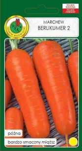 Marchew jadalna Berlikumer 2 500 g PNOS - Nasiona i cebule - miniaturka - grafika 1