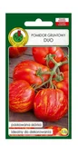Nasiona i cebule - Pomidor gruntowy Duo 0,2 g PNOS - miniaturka - grafika 1